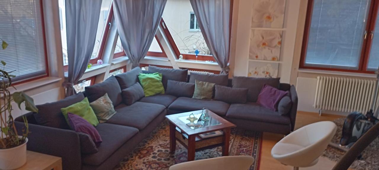 드레스덴 Winzerhaus Rissweg 15 빌라 외부 사진