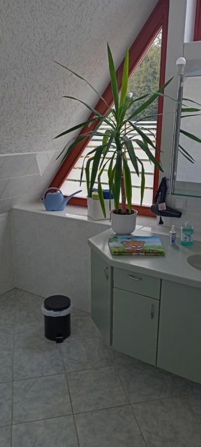 드레스덴 Winzerhaus Rissweg 15 빌라 외부 사진