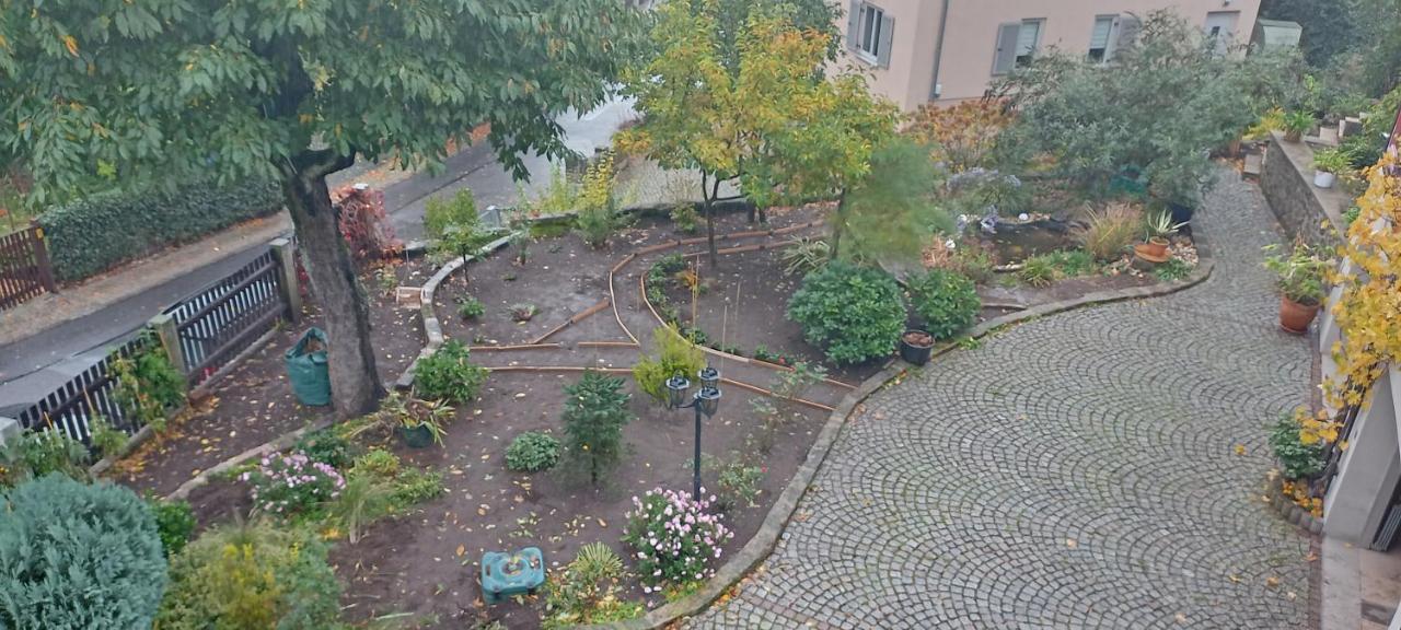 드레스덴 Winzerhaus Rissweg 15 빌라 외부 사진